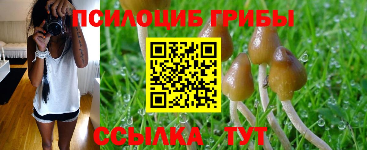 Псилоцибиновые грибы мицелий Балашов