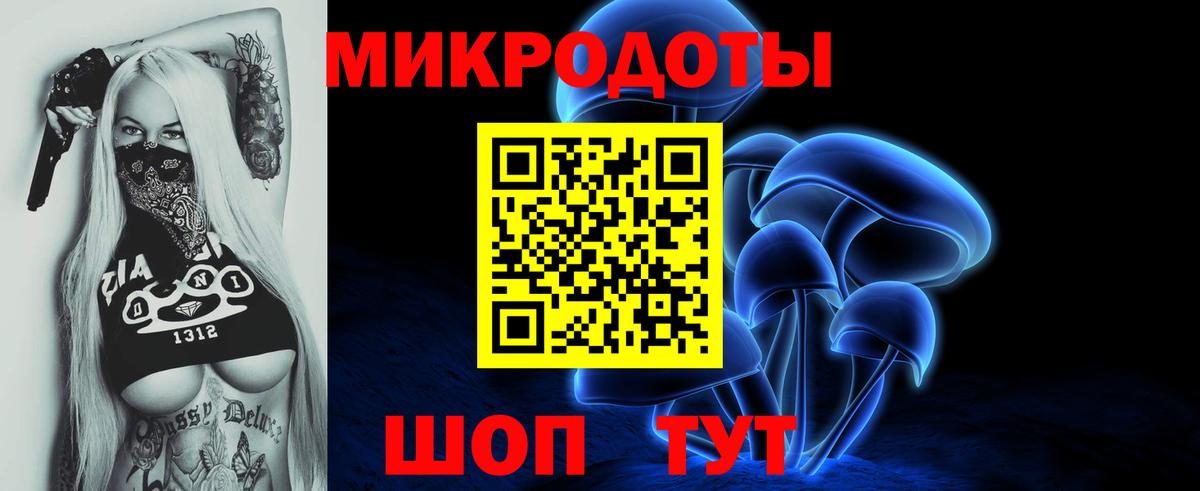 Балашов  Псилоцибиновые грибы ЛСД  Вход с VPN 