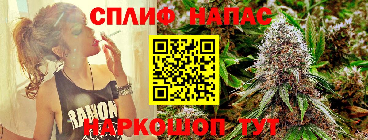 Каннабис Amnesia  Бошки марихуана ГИДРОПОН  Балашов  Конопля марихуана  Бошки марихуана SATIVA & INDICA  Вход с VPN 